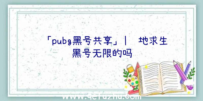 「pubg黑号共享」|绝地求生黑号无限的吗